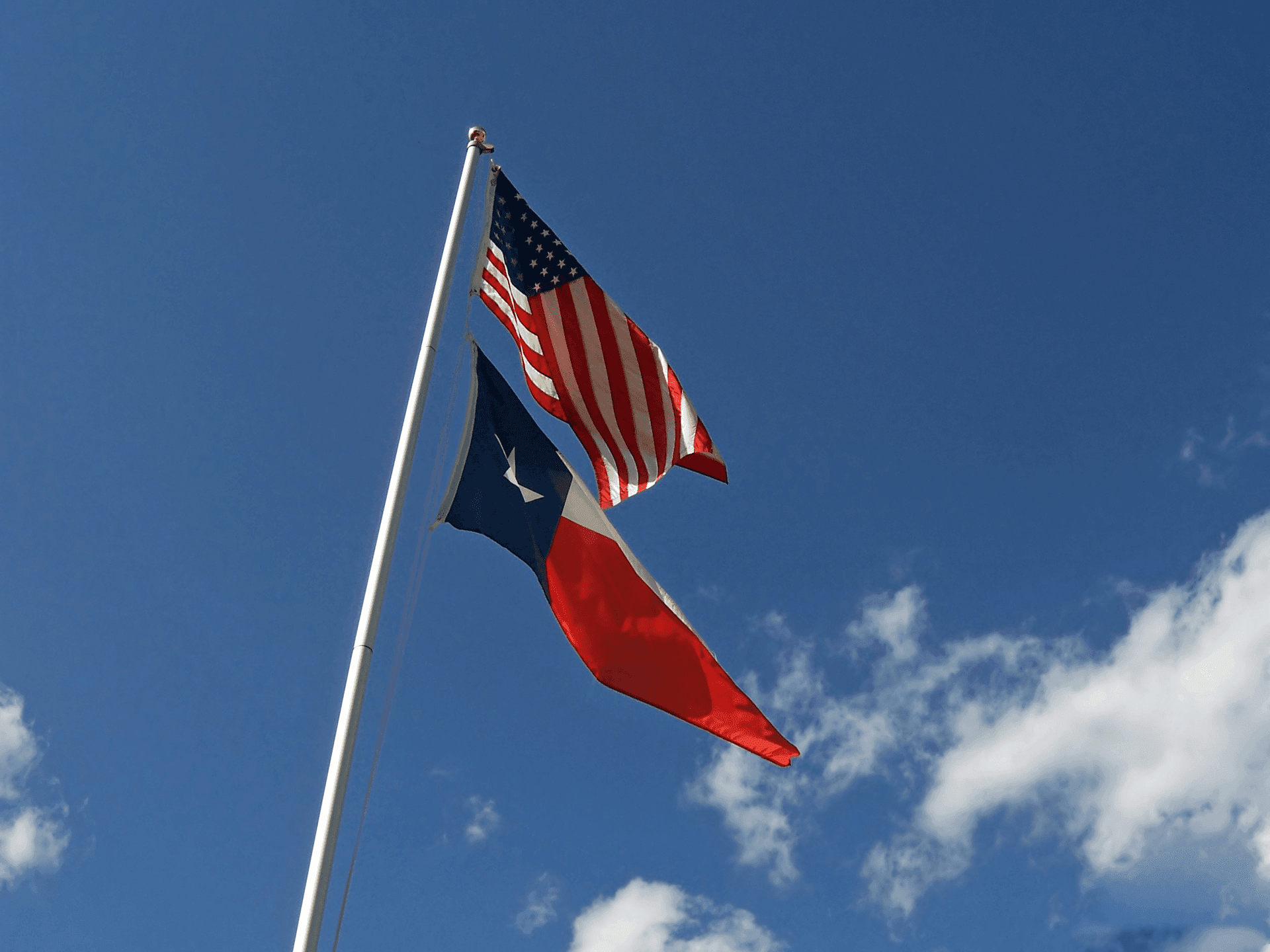 American and Texas Flag